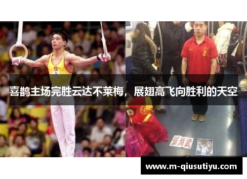 喜鹊主场完胜云达不莱梅，展翅高飞向胜利的天空