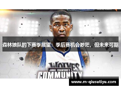 森林狼队的下赛季展望：季后赛机会渺茫，但未来可期
