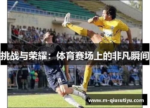 挑战与荣耀：体育赛场上的非凡瞬间